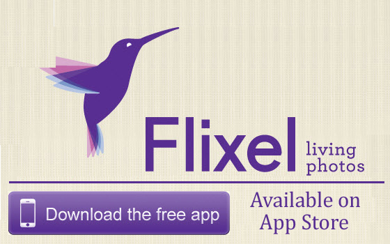 flixel