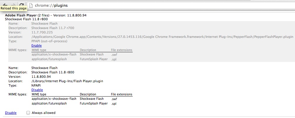 chrome-pepper-flash-player-disable