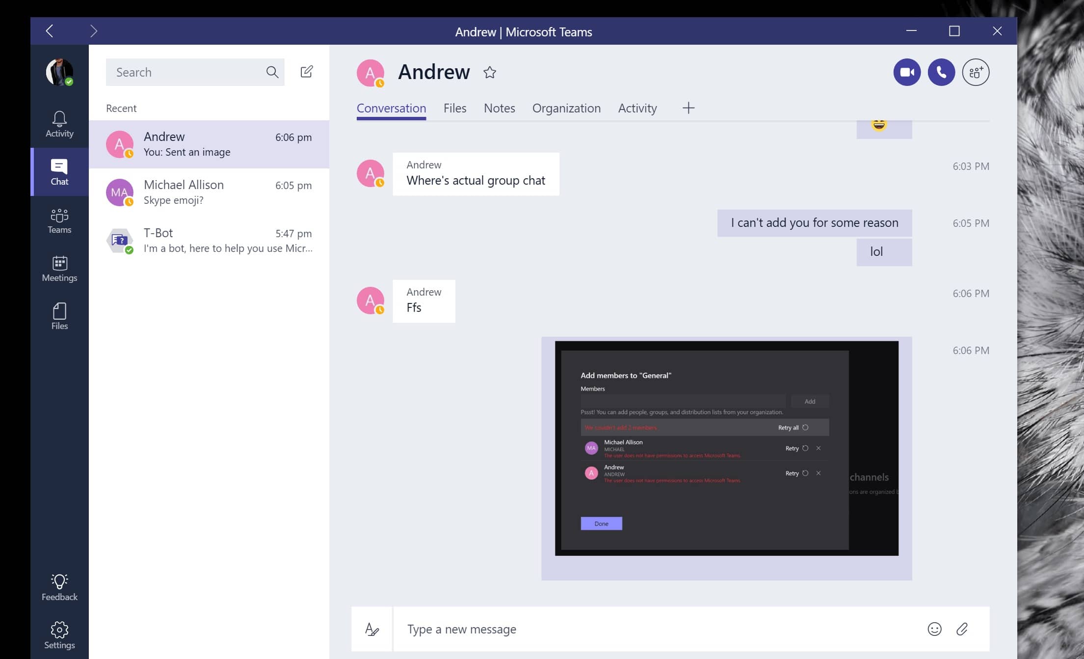 microsoft teams windows 11 preview