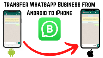 transfer whatsapp business chats android iphone