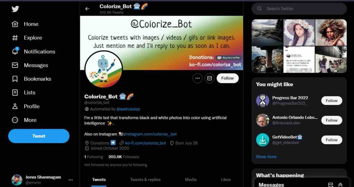 colorize twitter bot